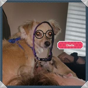 Meet your Posher, Brian